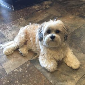 Meet your Posher, Lisa